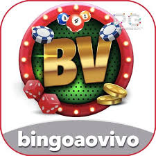 bingoaovivo Slots Premium v4.4.8